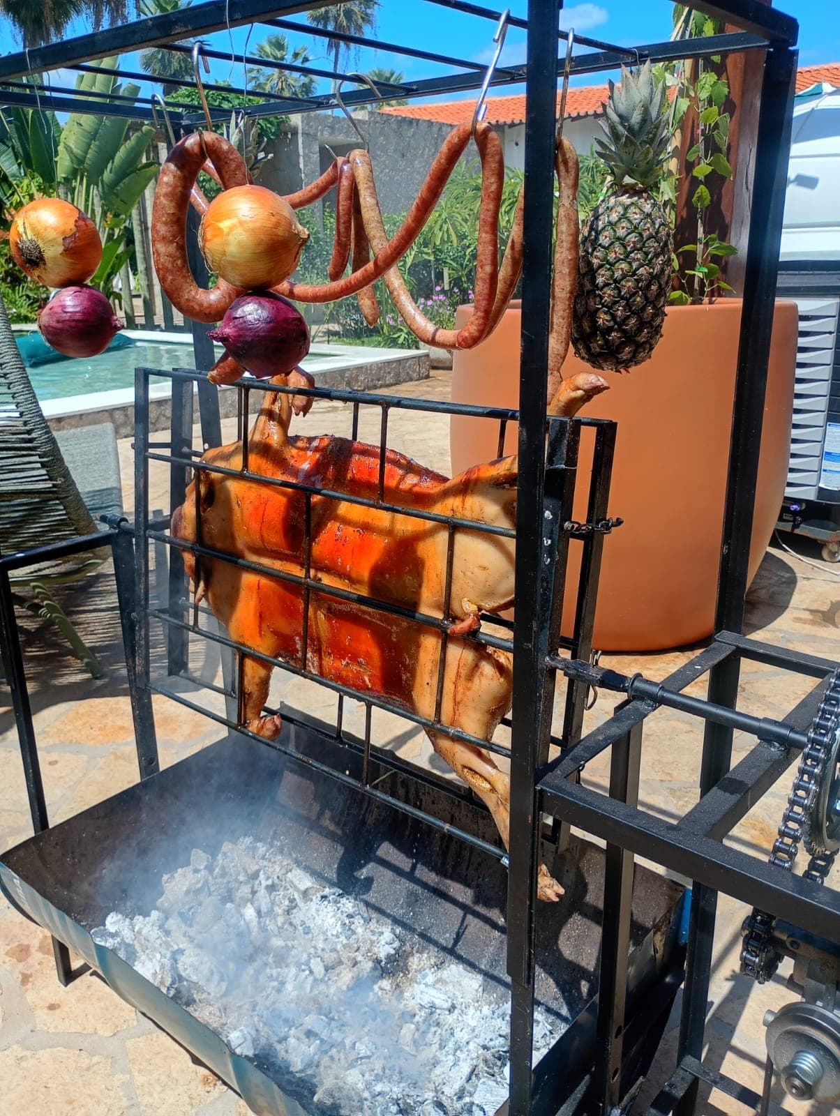 Churrasqueiro Profissional